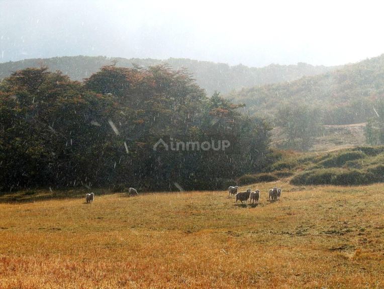 Campo en Venta en Rio Chico, Santa Cruz