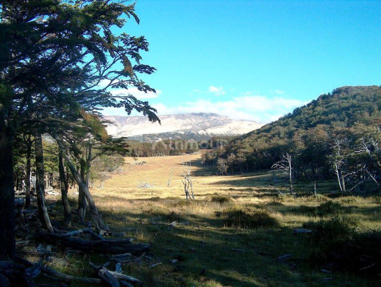 Campo en Venta en Rio Chico, Santa Cruz