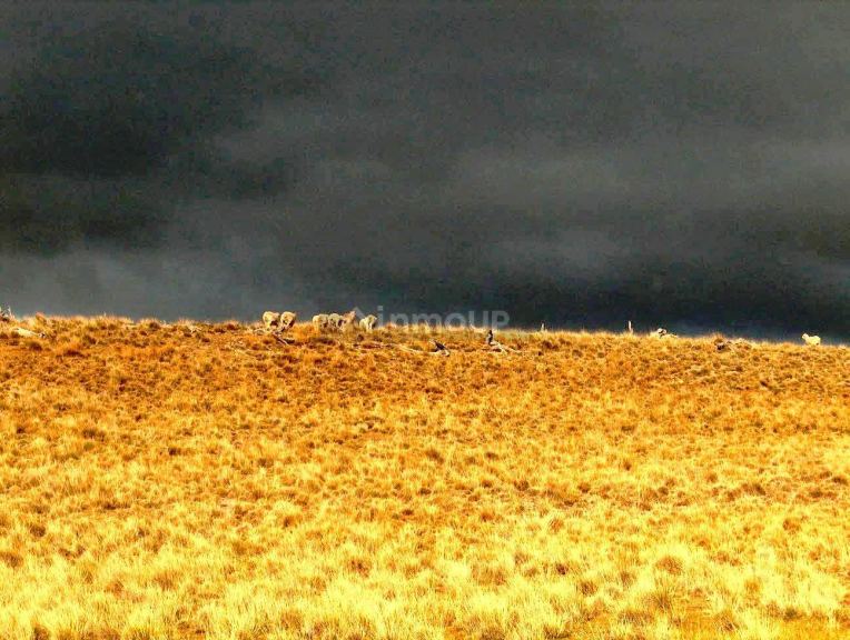 Campo en Venta en Rio Chico, Santa Cruz