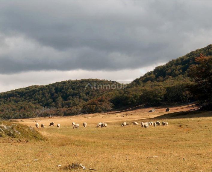 Campo en Venta en Rio Chico, Santa Cruz