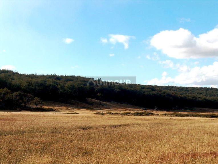 Campo en Venta en Rio Chico, Santa Cruz