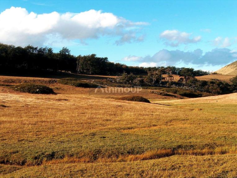 Campo en Venta en Rio Chico, Santa Cruz