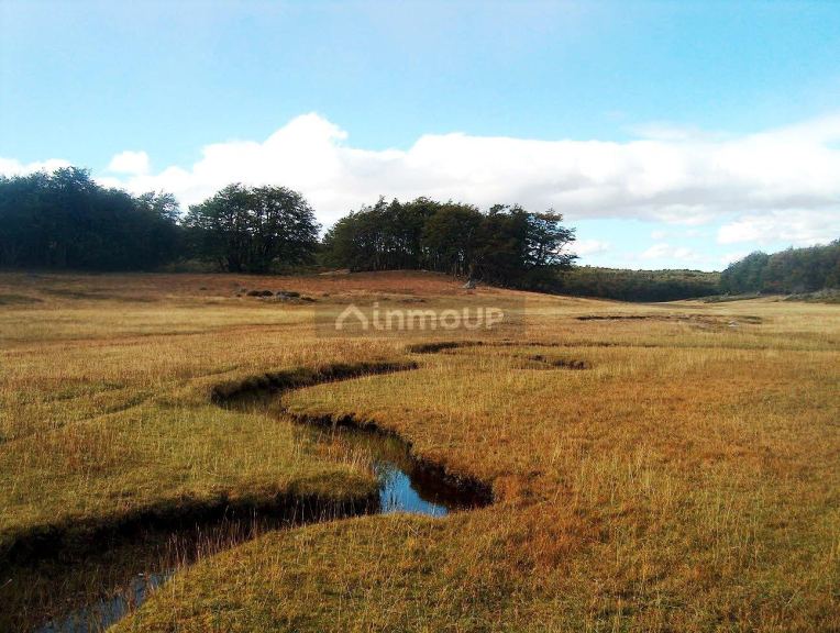 Campo en Venta en Rio Chico, Santa Cruz
