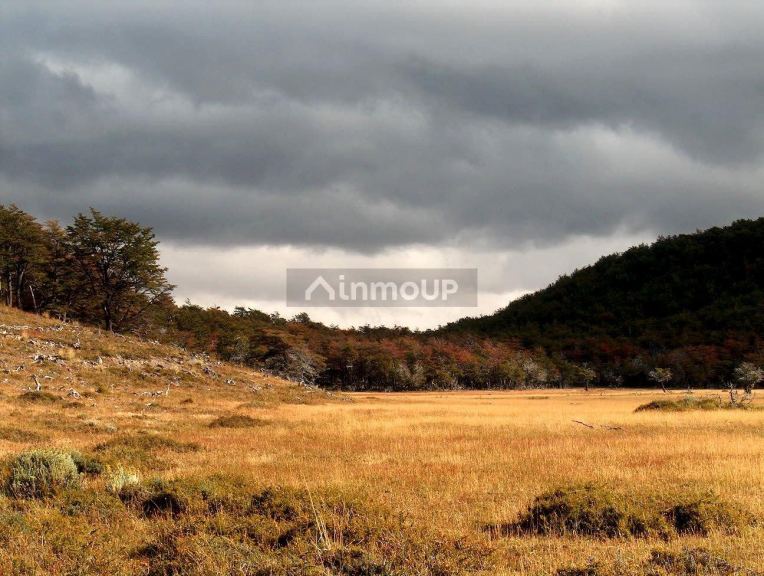 Campo en Venta en Rio Chico, Santa Cruz