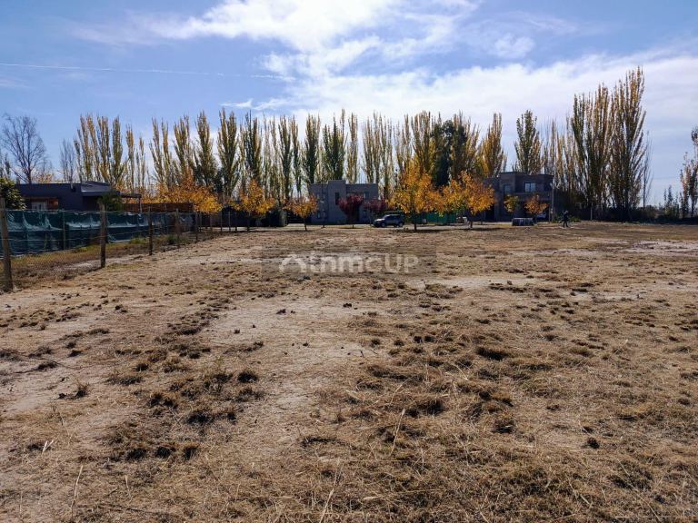 Lote en Venta en Lujan de Cuyo, Mendoza