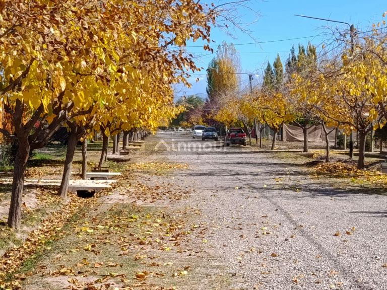 Lote en Venta en Lujan de Cuyo, Mendoza