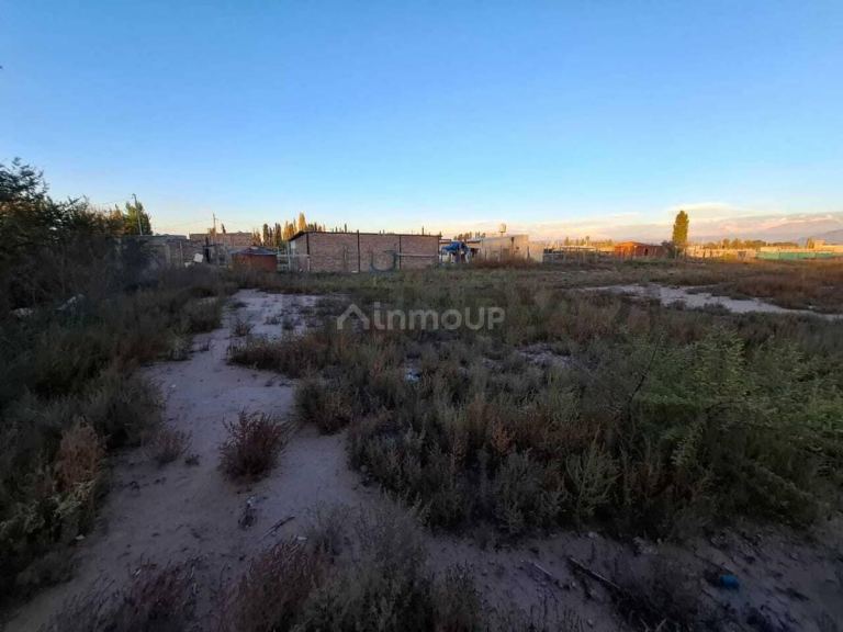 Terreno en Venta en Lujan de Cuyo, Mendoza