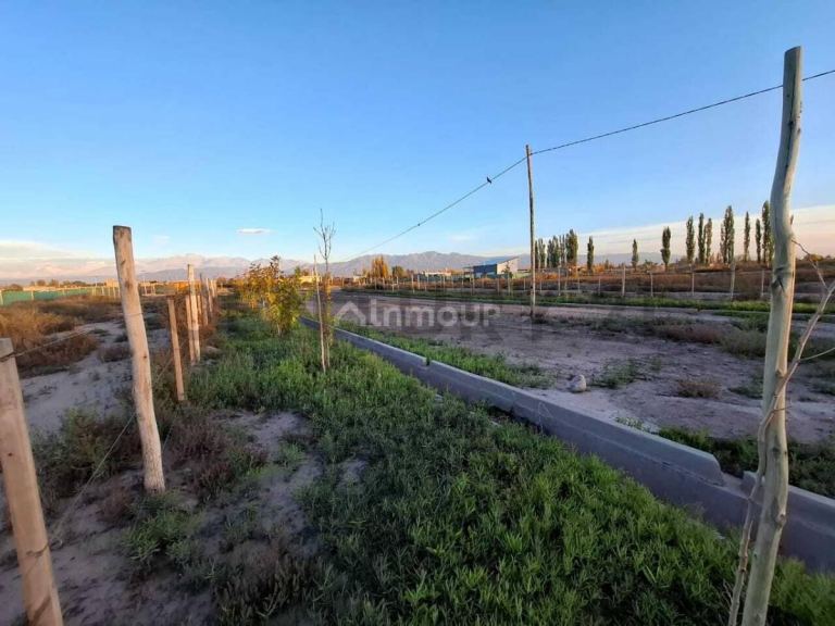 Terreno en Venta en Lujan de Cuyo, Mendoza