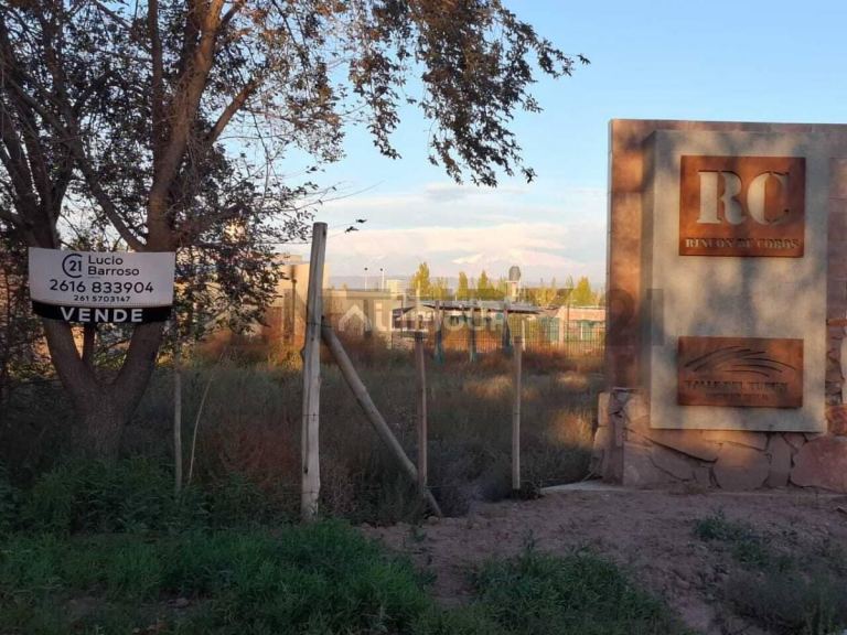 Terreno en Venta en Lujan de Cuyo, Mendoza