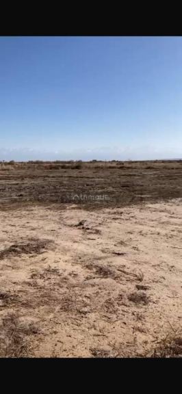 Terreno en Venta en Lujan de Cuyo, Mendoza