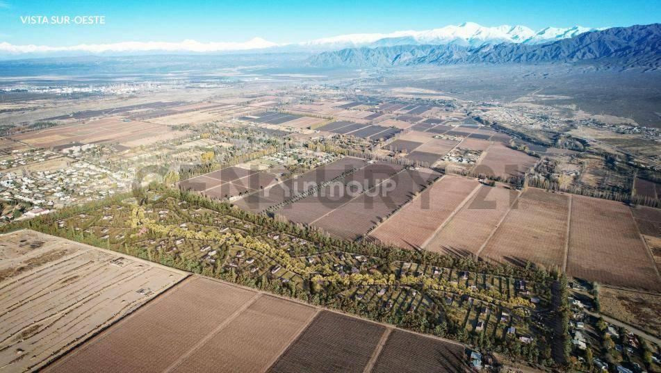 Terreno en Venta en Lujan de Cuyo, Mendoza