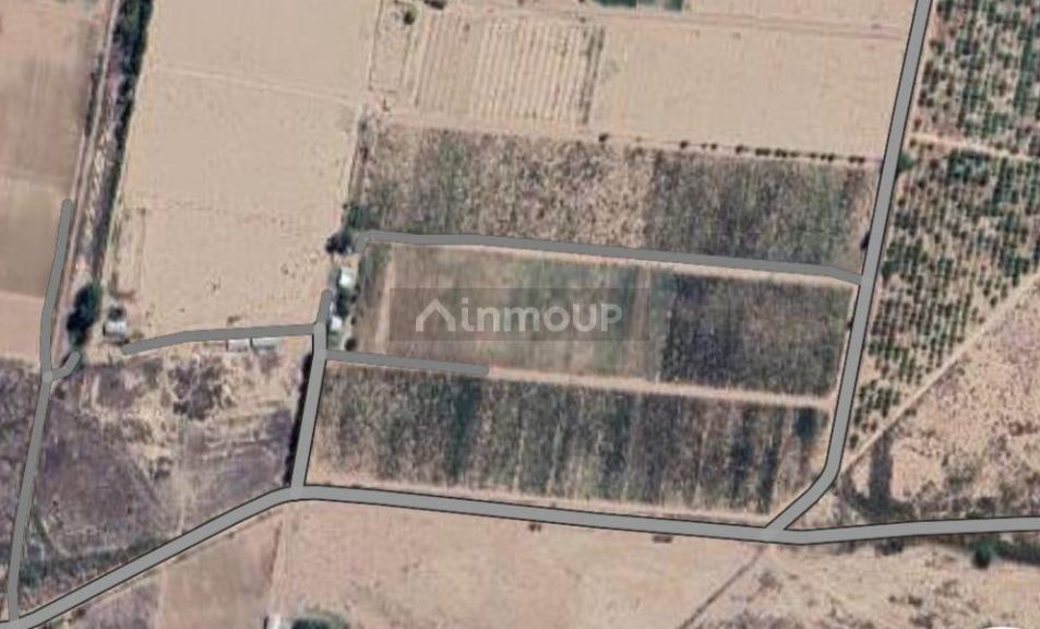 Finca en Venta en Lujan de Cuyo, Mendoza