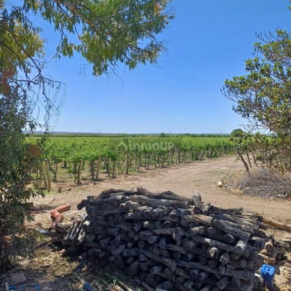 Finca en Venta en Lujan de Cuyo, Mendoza