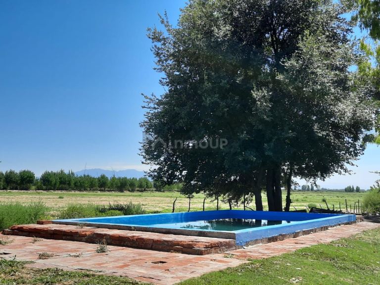 Finca en Venta en Lujan de Cuyo, Mendoza