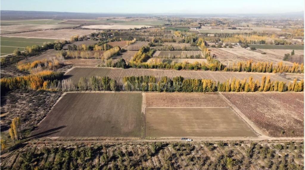Finca en Venta en San Carlos, Mendoza