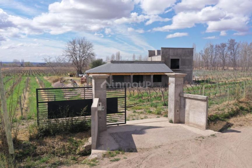 Finca en Venta en San Carlos, Mendoza