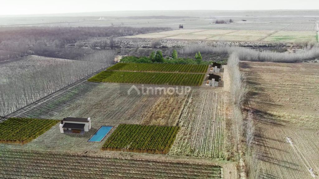 Finca en Venta en San Carlos, Mendoza