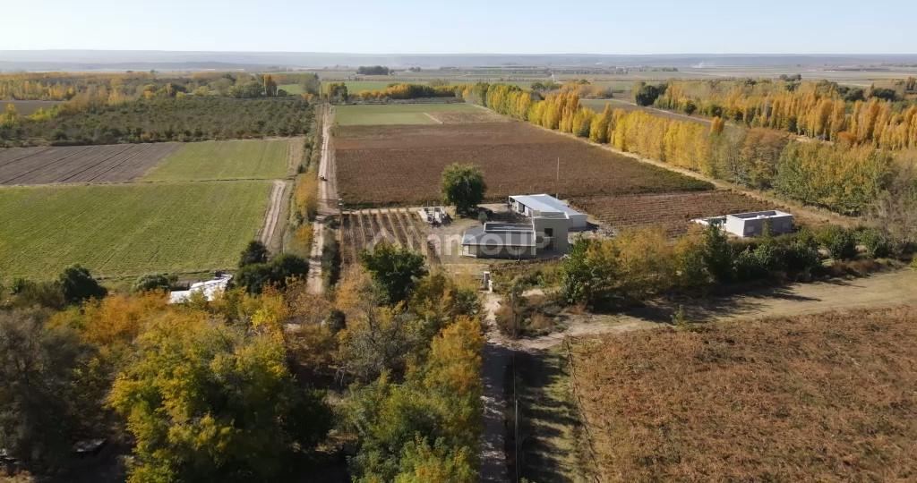 Finca en Venta en San Carlos, Mendoza