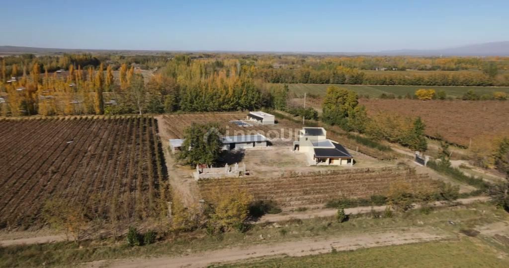 Finca en Venta en San Carlos, Mendoza