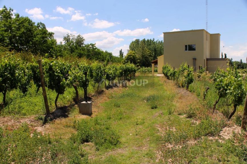 Finca en Venta en San Carlos, Mendoza