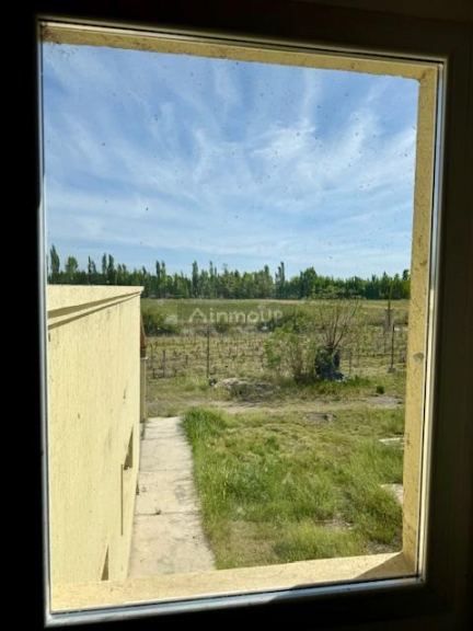 Finca en Venta en San Carlos, Mendoza