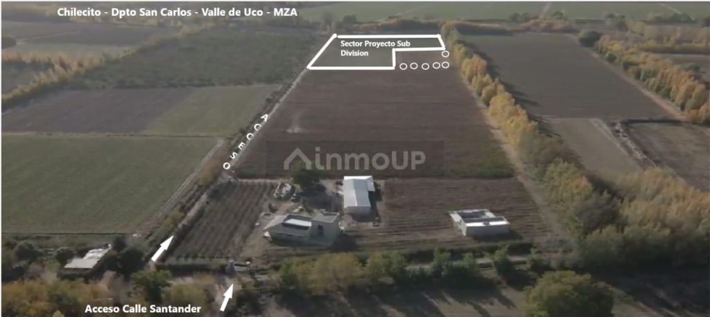 Finca en Venta en San Carlos, Mendoza