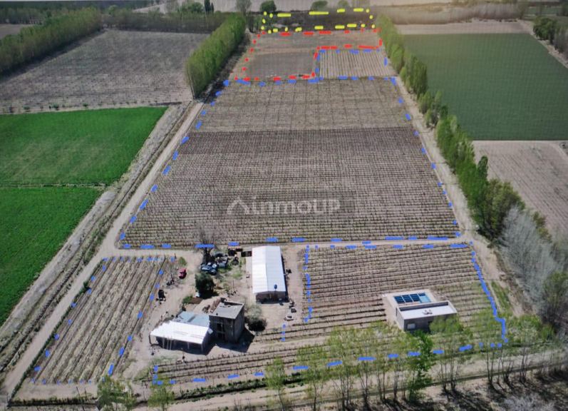 Finca en Venta en San Carlos, Mendoza