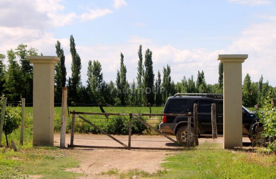 Finca en Venta en San Carlos, Mendoza