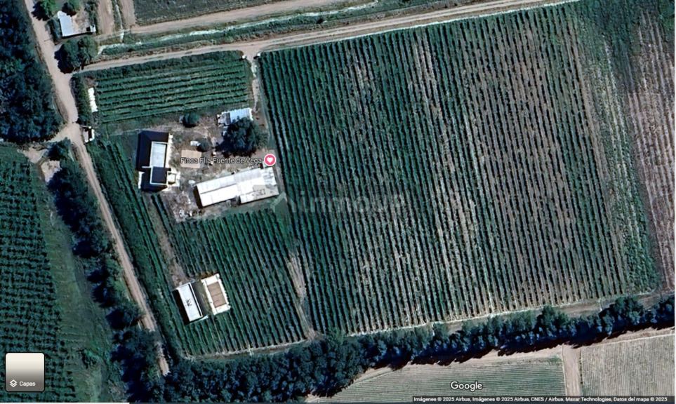 Finca en Venta en San Carlos, Mendoza