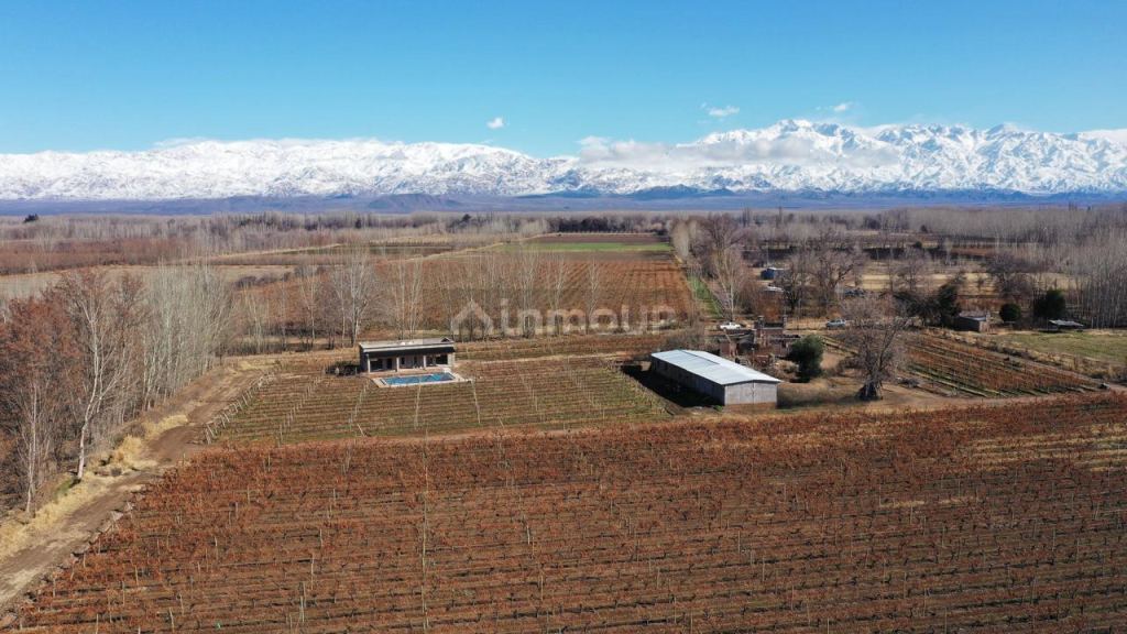 Finca en Venta en San Carlos, Mendoza