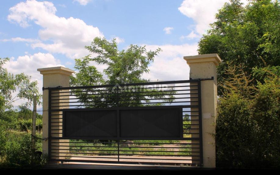 Finca en Venta en San Carlos, Mendoza