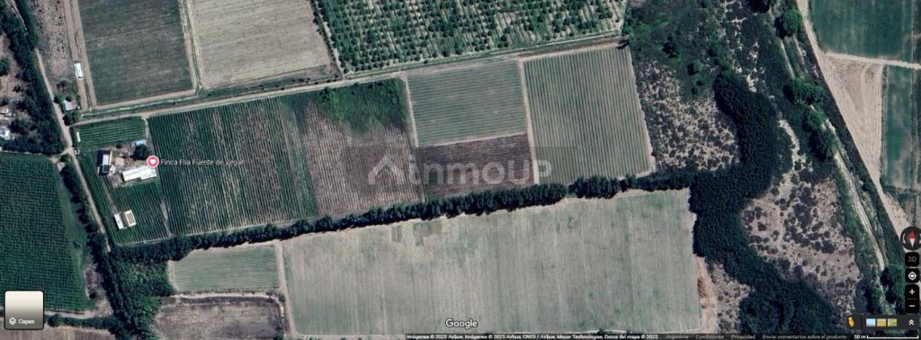 Finca en Venta en San Carlos, Mendoza