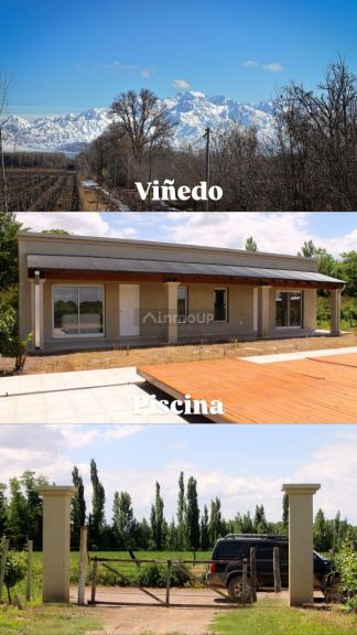 Finca en Venta en San Carlos, Mendoza