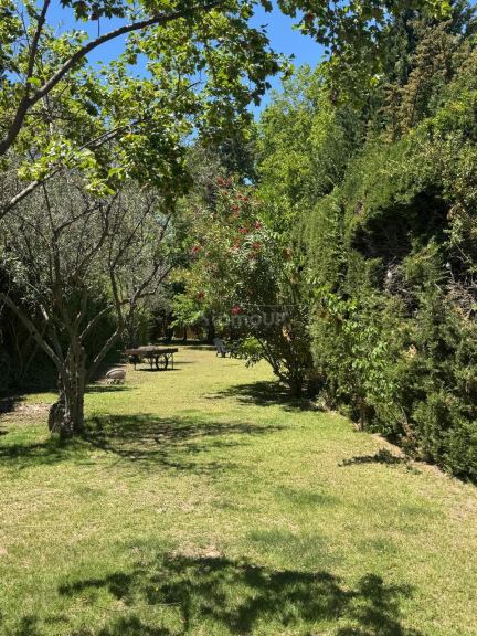 Casa en Alquiler en Lujan de Cuyo, Mendoza