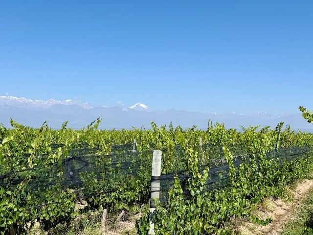 Valle de Uco - Tupungato