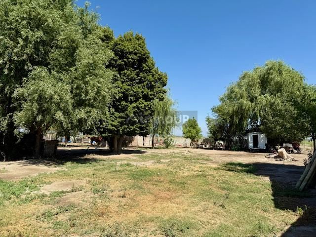 Finca en Venta en Tupungato, Mendoza