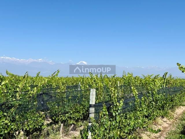 Finca en Venta en Tupungato, Mendoza