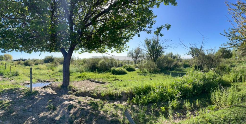 Finca en Venta en Tupungato, Mendoza