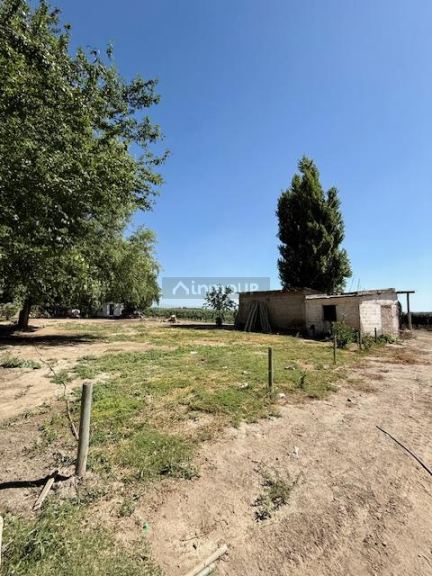 Finca en Venta en Tupungato, Mendoza