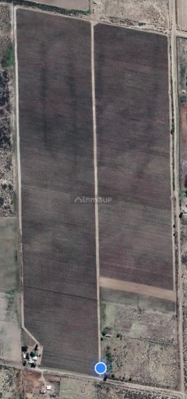 Finca en Venta en Tupungato, Mendoza