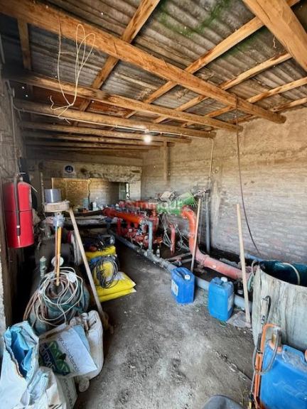 Finca en Venta en Tupungato, Mendoza