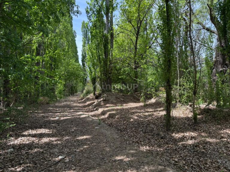 Finca en Venta en Tupungato, Mendoza