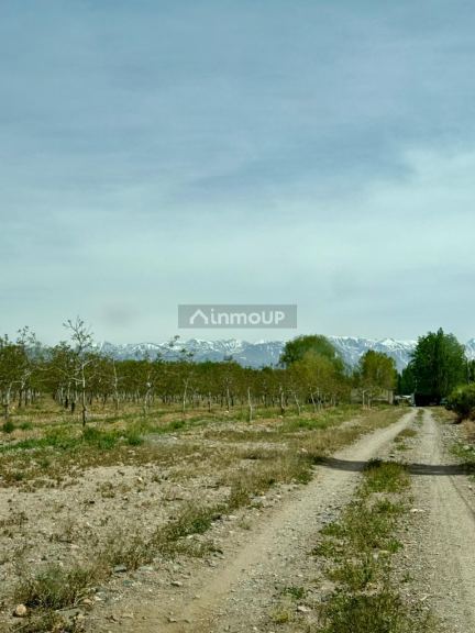 Finca en Venta en Tupungato, Mendoza