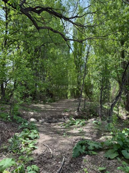 Finca en Venta en Tupungato, Mendoza