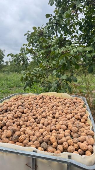 Finca en Venta en Tupungato, Mendoza