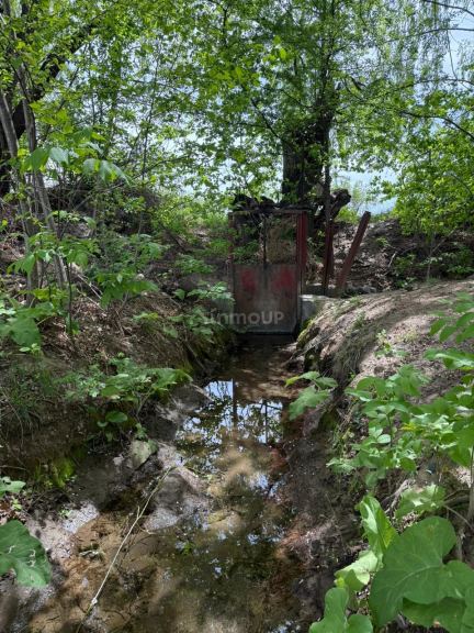 Finca en Venta en Tupungato, Mendoza