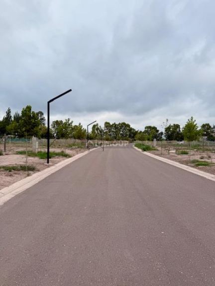 Lote en Venta en Lujan de Cuyo, Mendoza