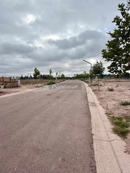 Lote en Venta en Lujan de Cuyo, Mendoza