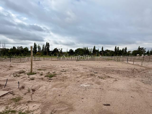 Lote en Venta en Lujan de Cuyo, Mendoza
