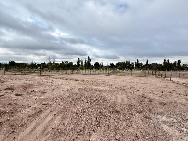 Lote en Venta en Lujan de Cuyo, Mendoza